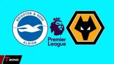 Brighton vs Wolves: Cơ hội vàng cho thầy trò Fabian Hurzeler