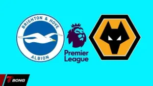 Brighton vs Wolves: Cơ hội vàng cho thầy trò Fabian Hurzeler
