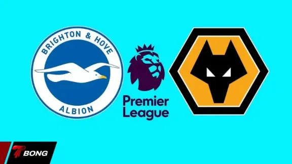 Brighton vs Wolves: Cơ hội vàng cho thầy trò Fabian Hurzeler