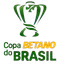 Brazilian Cup