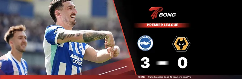 7BONG highlight: Brighton VS Wolverhampton [09-05-26] • English Premier League