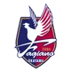 Fagiano Okayama