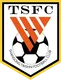 Shandong Taishan